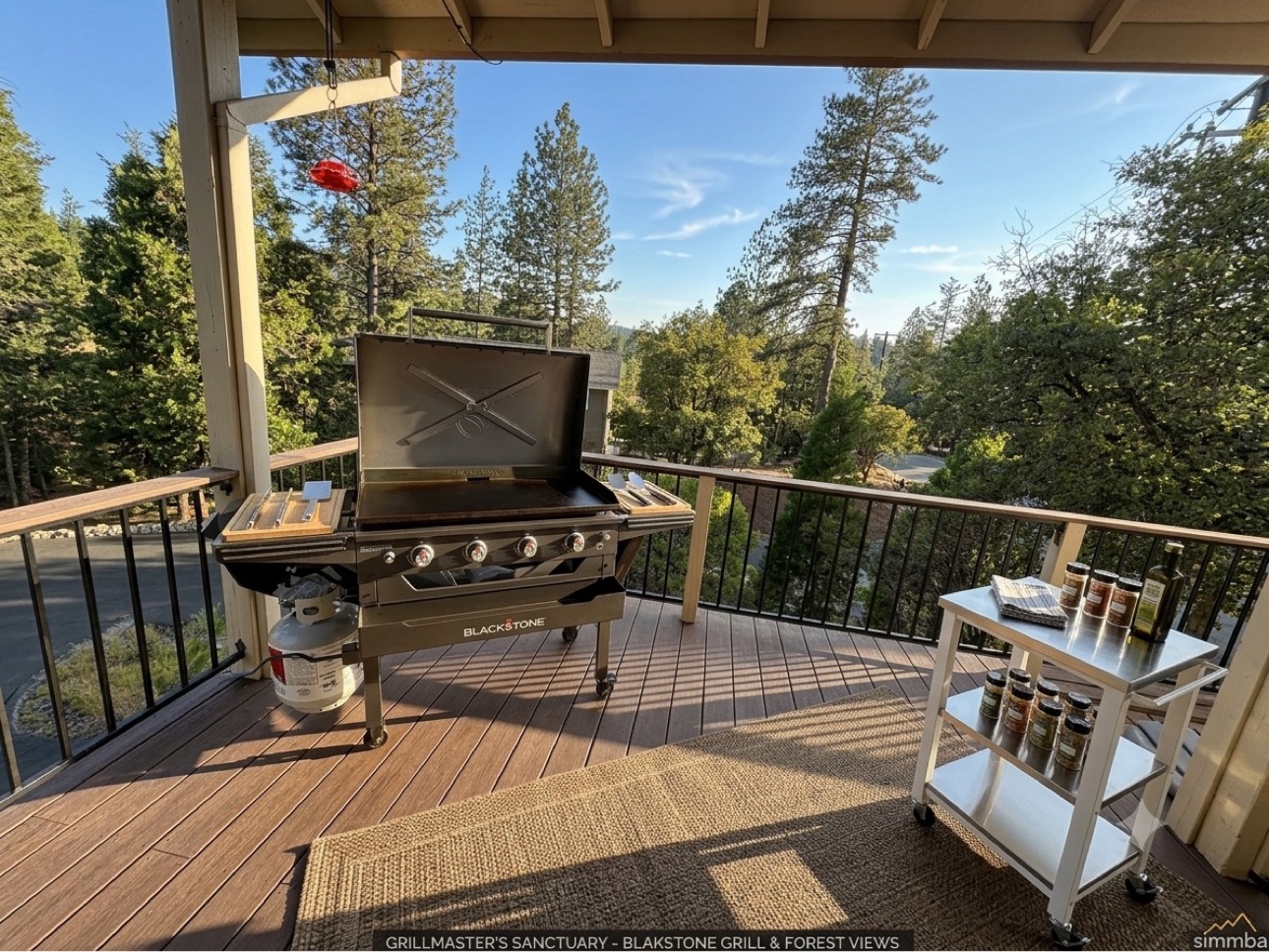 Blackstone grill on the covered deck with forest views