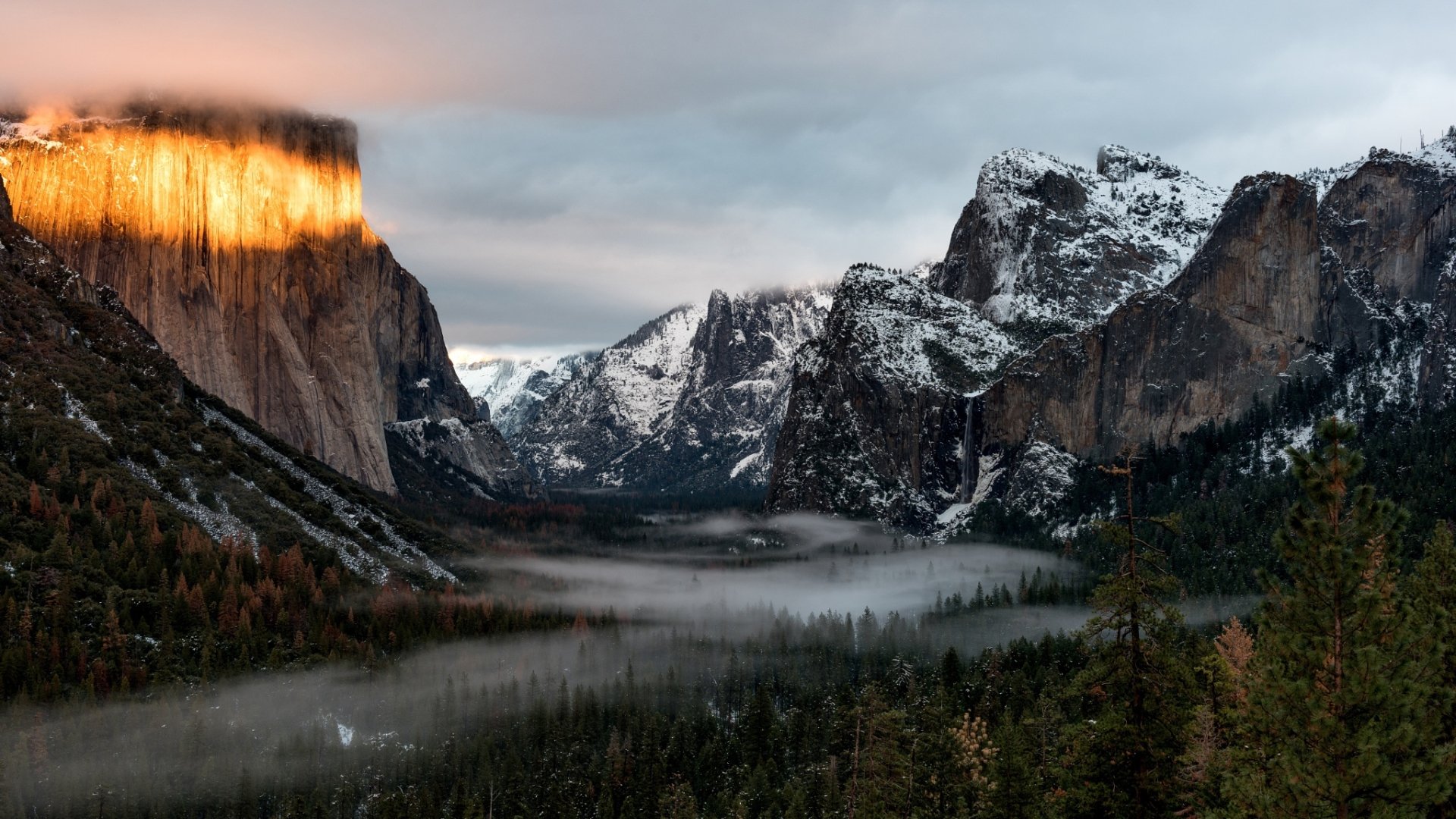 Granite cliffs and pine forest in Yosemite National Park